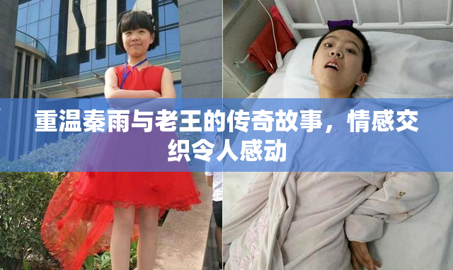 重温秦雨与老王的传奇故事，情感交织令人感动