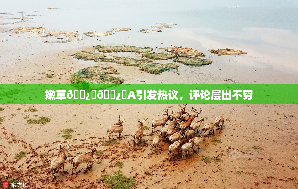 嫩草🌿‌🌿‌A引发热议，评论层出不穷
