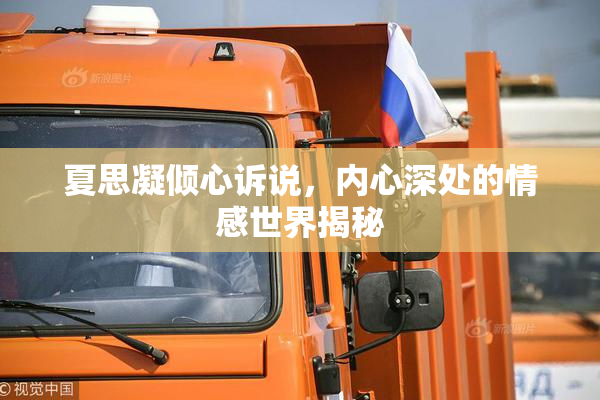 夏思凝倾心诉说，内心深处的情感世界揭秘