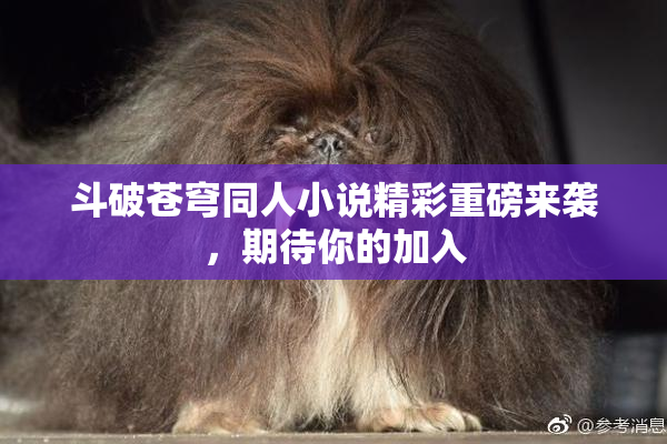 斗破苍穹同人小说精彩重磅来袭，期待你的加入
