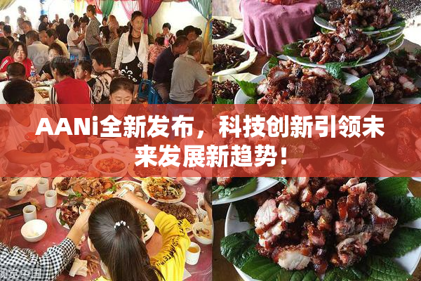 AANi全新发布，科技创新引领未来发展新趋势！