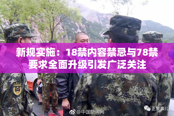新规实施：18禁内容禁忌与78禁要求全面升级引发广泛关注