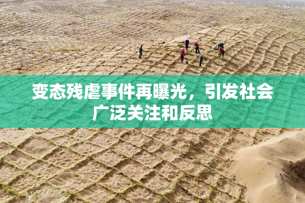 变态残虐事件再曝光，引发社会广泛关注和反思