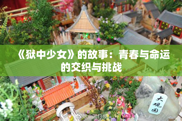 《狱中少女》的故事：青春与命运的交织与挑战