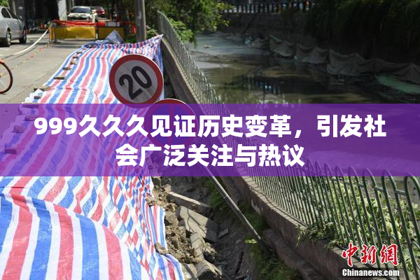 999久久久见证历史变革，引发社会广泛关注与热议