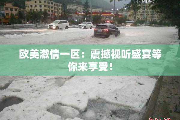 欧美激情一区：震撼视听盛宴等你来享受！