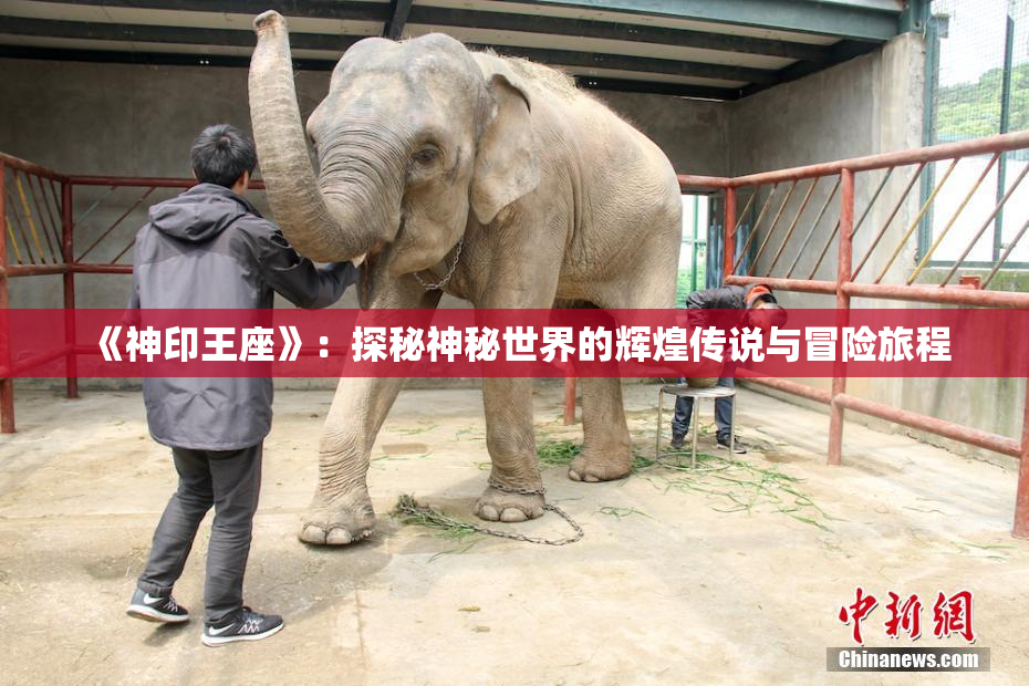 《神印王座》：探秘神秘世界的辉煌传说与冒险旅程