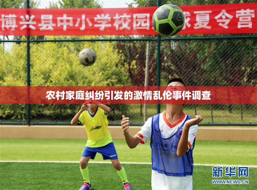 农村家庭纠纷引发的激情乱伦事件调查