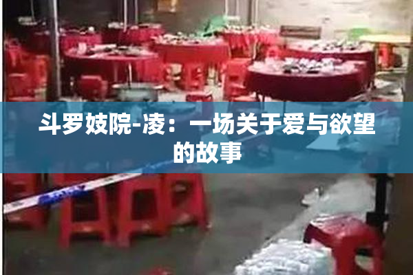 斗罗妓院-凌：一场关于爱与欲望的故事