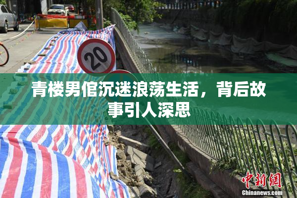 青楼男倌沉迷浪荡生活，背后故事引人深思