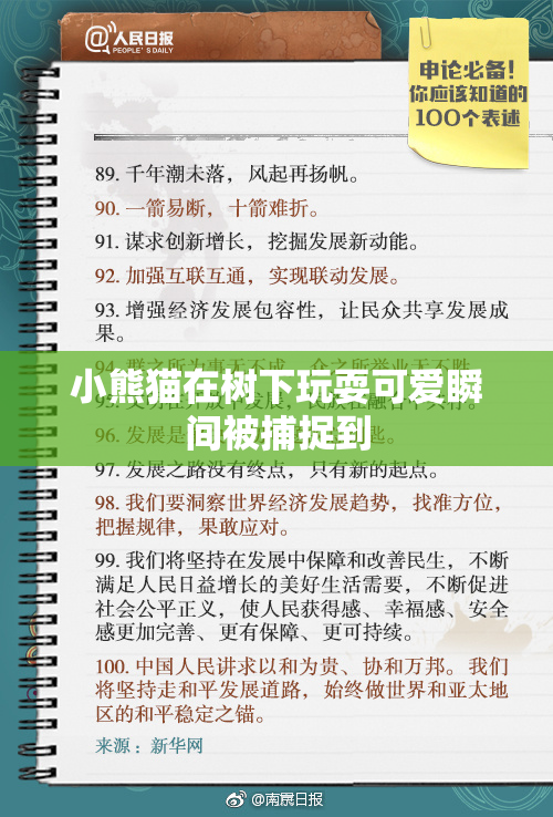 小熊猫在树下玩耍可爱瞬间被捕捉到