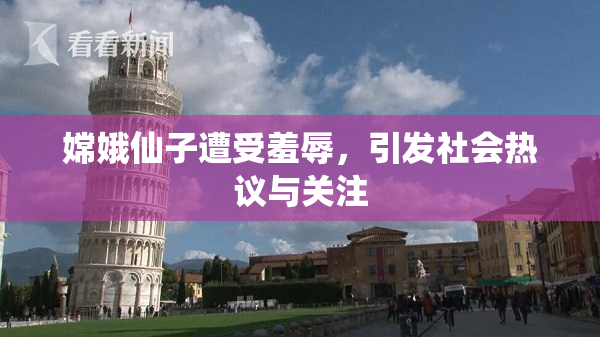 嫦娥仙子遭受羞辱，引发社会热议与关注