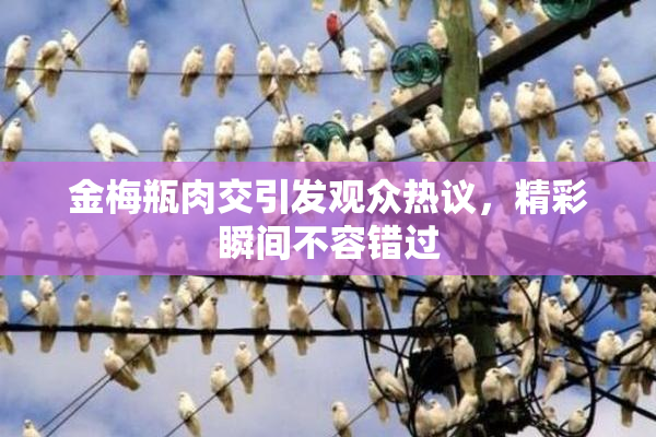 金梅瓶肉交引发观众热议，精彩瞬间不容错过