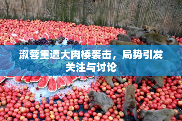 淑蓉重遭大肉楱袭击，局势引发关注与讨论