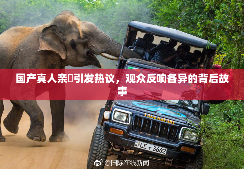 国产真人亲妺引发热议，观众反响各异的背后故事