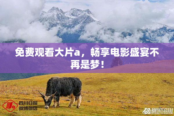 免费观看大片a，畅享电影盛宴不再是梦！