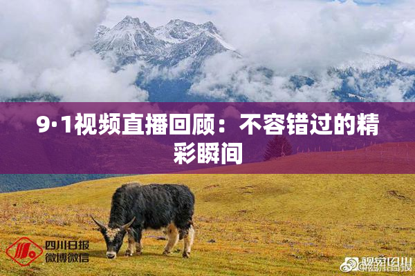 9·1视频直播回顾：不容错过的精彩瞬间