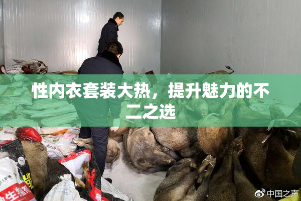 性内衣套装大热，提升魅力的不二之选