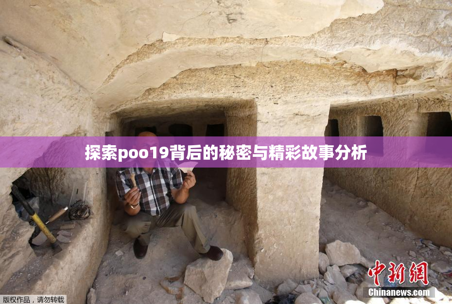 探索poo19背后的秘密与精彩故事分析