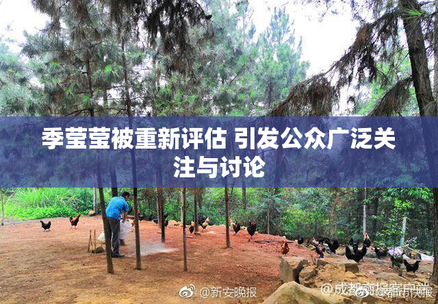 季莹莹被重新评估 引发公众广泛关注与讨论