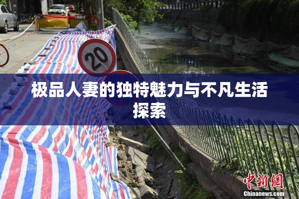 极品人妻的独特魅力与不凡生活探索