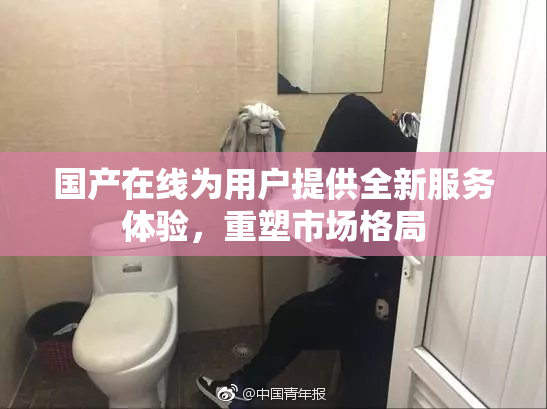 国产在线为用户提供全新服务体验，重塑市场格局