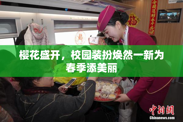 樱花盛开，校园装扮焕然一新为春季添美丽