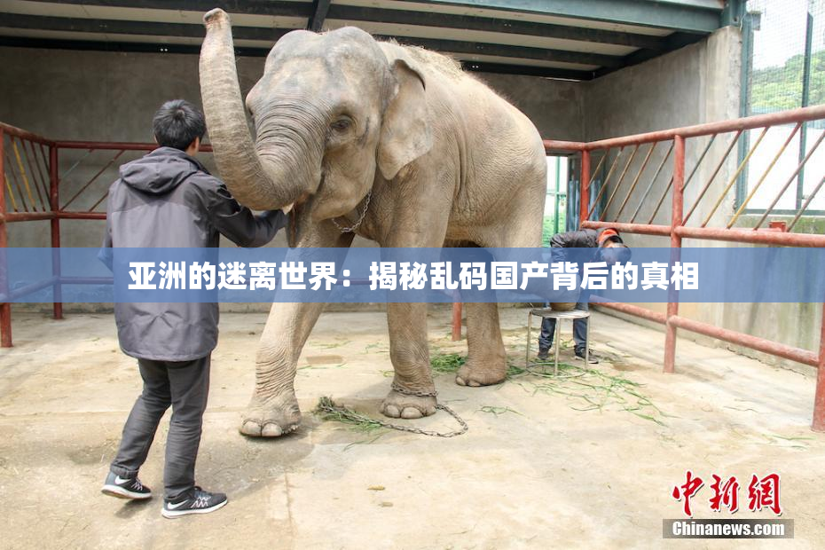 亚洲的迷离世界：揭秘乱码国产背后的真相
