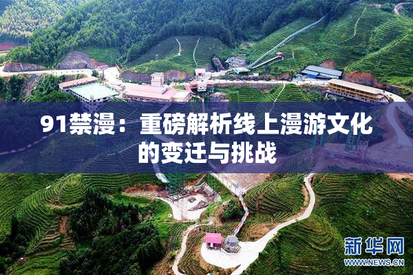 91禁漫：重磅解析线上漫游文化的变迁与挑战