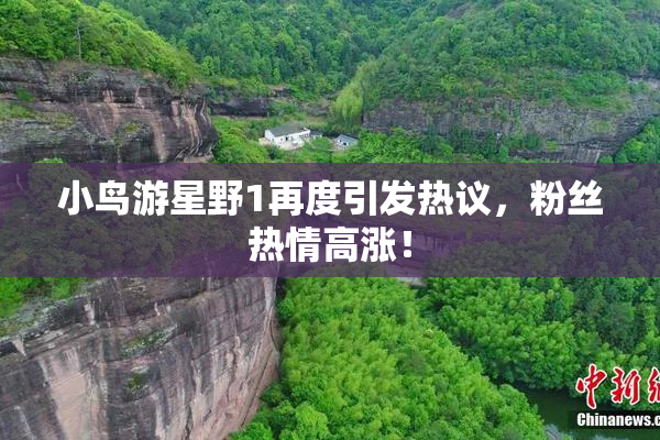 小鸟游星野1再度引发热议，粉丝热情高涨！