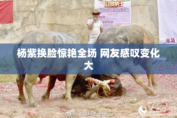 杨紫换脸惊艳全场 网友感叹变化大