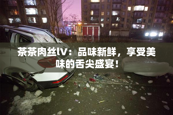 茶茶肉丝lV：品味新鲜，享受美味的舌尖盛宴！