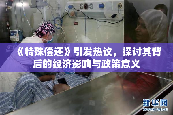《特殊偿还》引发热议，探讨其背后的经济影响与政策意义