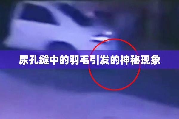 尿孔缝中的羽毛引发的神秘现象