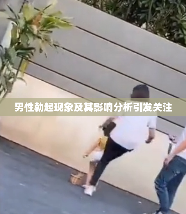 男性勃起现象及其影响分析引发关注