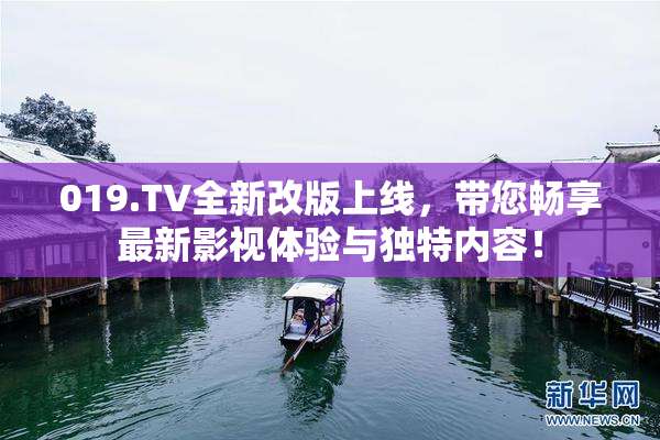 019.TV全新改版上线，带您畅享最新影视体验与独特内容！