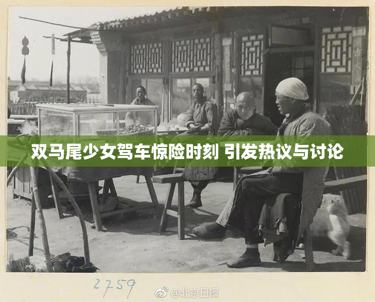 双马尾少女驾车惊险时刻 引发热议与讨论