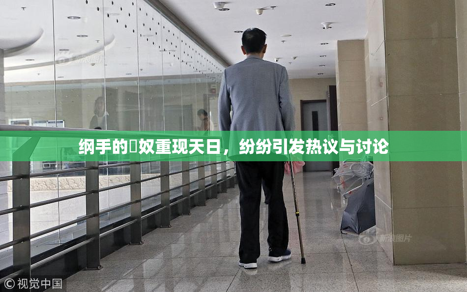 纲手的婬奴重现天日，纷纷引发热议与讨论