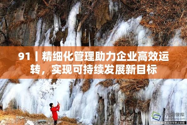91丨精细化管理助力企业高效运转，实现可持续发展新目标
