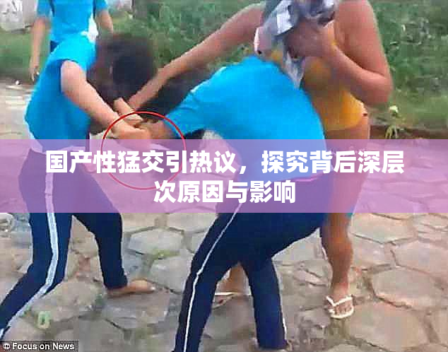 国产性猛交引热议，探究背后深层次原因与影响