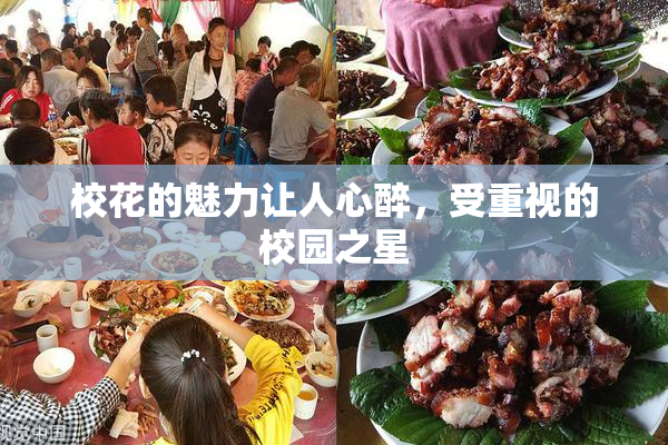 校花的魅力让人心醉，受重视的校园之星
