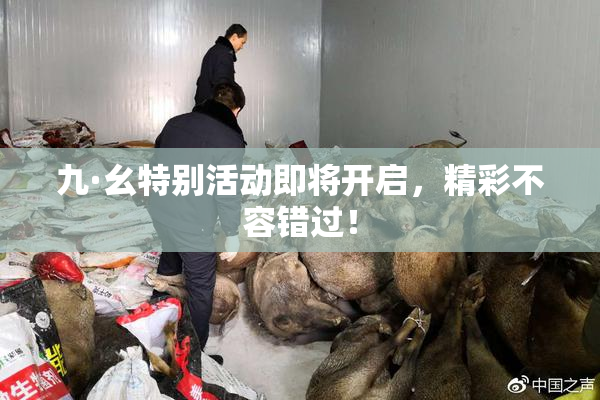 九·幺特别活动即将开启，精彩不容错过！