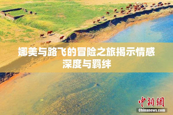 娜美与路飞的冒险之旅揭示情感深度与羁绊