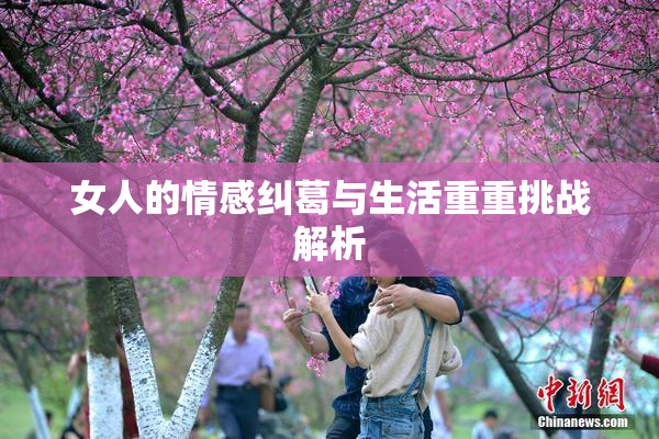 女人的情感纠葛与生活重重挑战解析