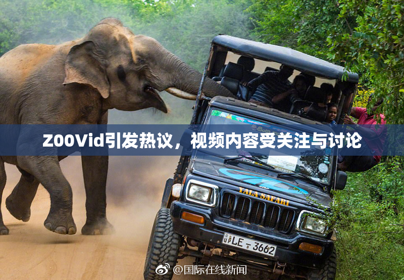 Z00Vid引发热议，视频内容受关注与讨论