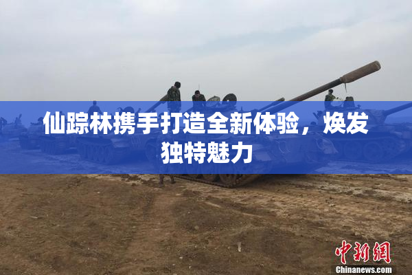 仙踪林携手打造全新体验，焕发独特魅力