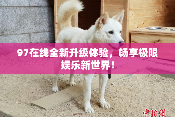 97在线全新升级体验，畅享极限娱乐新世界！