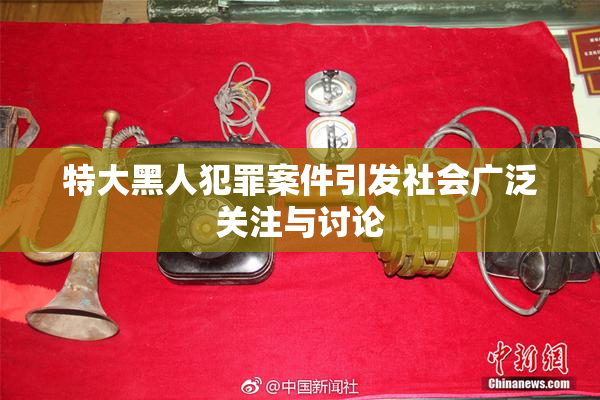 特大黑人犯罪案件引发社会广泛关注与讨论