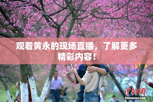 观看黄永的现场直播，了解更多精彩内容！