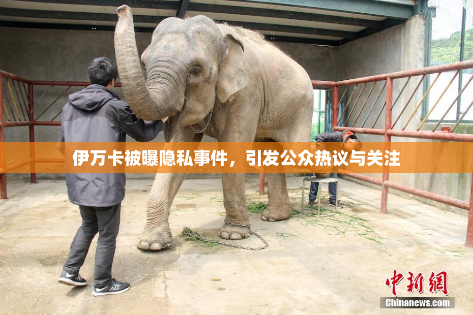 伊万卡被曝隐私事件，引发公众热议与关注